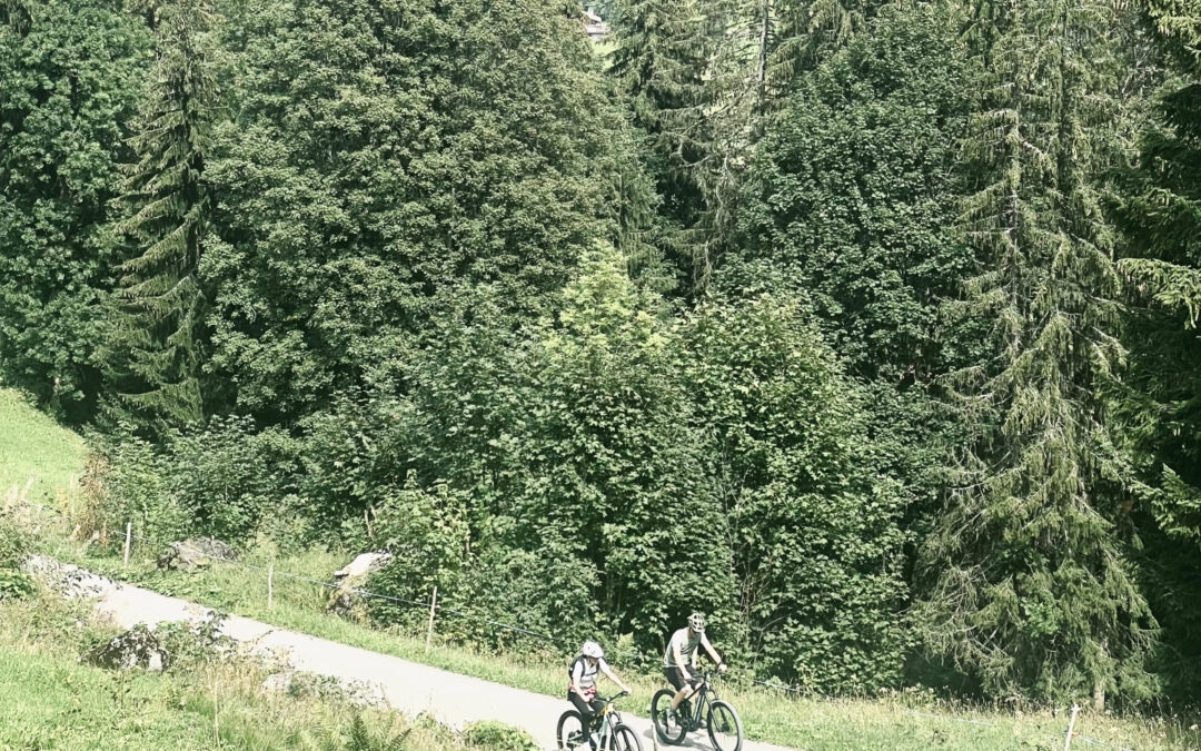 Budeusflug mit eBikes